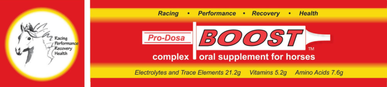 Sponsor